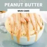 Cake in a light blue mug drizzled with peanut butter and topped with peanuts.