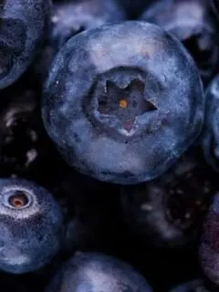 Berries Arranged by Their Natural Properties