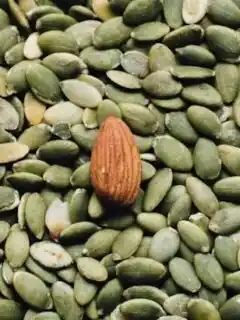 10 Underrated Foods That Can Boost Your Daily Energy Levels