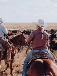 American Ranchers Struggle as Beef Prices Hit Record Highs