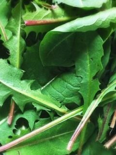 Appalachian Foodways: The Overlooked Cuisine Historians Are Finally Appreciating