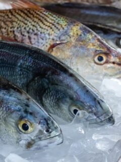 The Real Reason You Should Avoid Ordering Fish Specials on Mondays