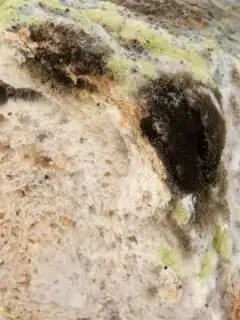 8 Foods You Should Never Refrigerate in Summer - and the Spoilage Mistakes That Follow