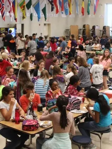 9 Common Lunchbox Habits Kids Always Remember - and How They Shape Food Preferences