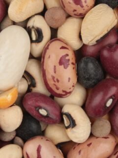 The 10-Year Pantry: 15 Foods That Last Without Losing Quality