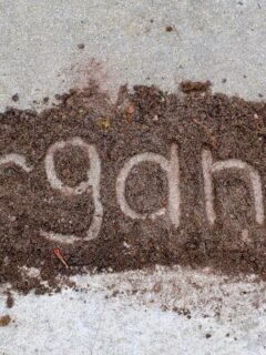 I Switched to Organic Foods - Here Are 11 Hidden Costs I Didn't Expect